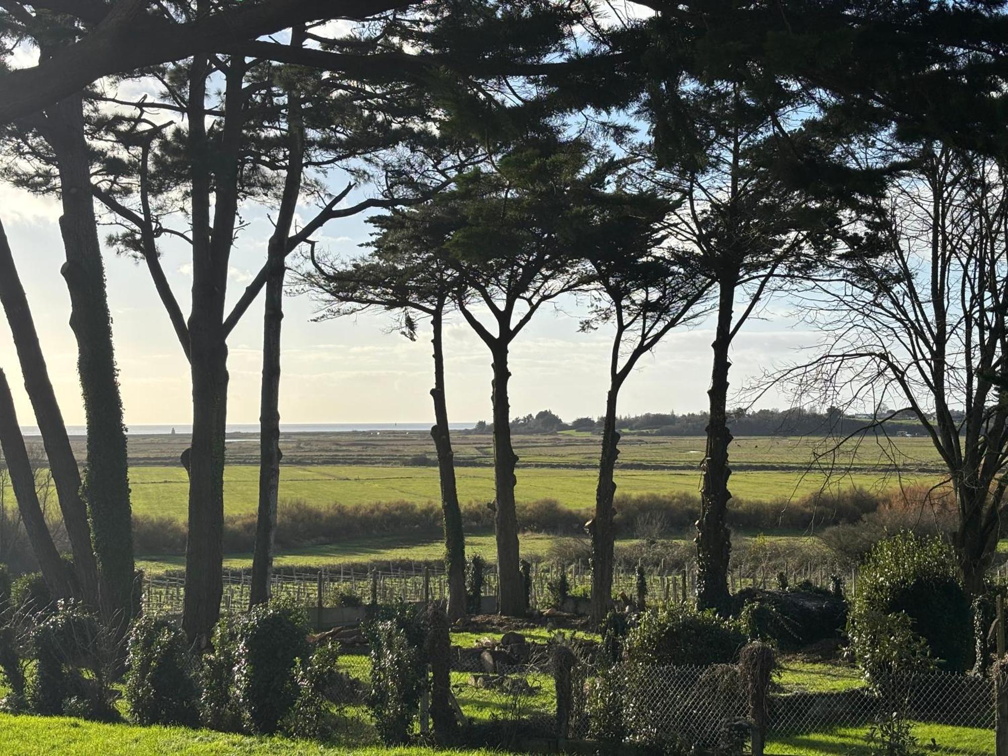 Villa Vieilles Vignes Vue Mer Billiers Exteriör bild